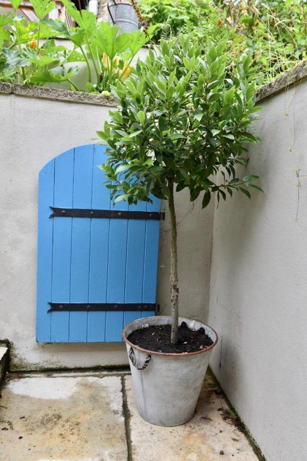 The Roost Apartment Semley Exterior photo